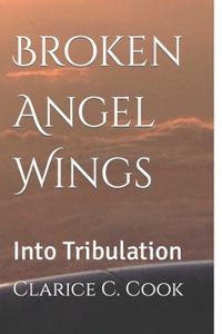 Broken Angel Wings