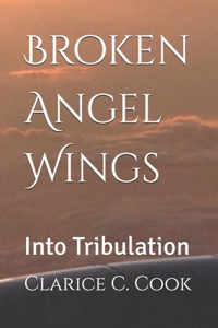 Broken Angel Wings