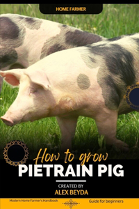 Pietrain Pig