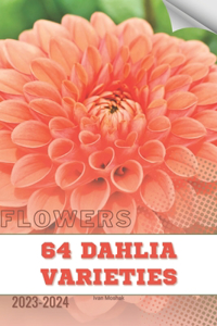 64 Dahlia Varieties
