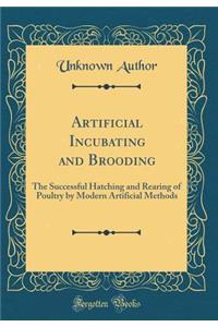 Artificial Incubating and Brooding: The Successful Hatching and Rearing of Poultry by Modern Artificial Methods (Classic Reprint)