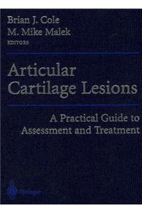 Articular Cartilage Lesions