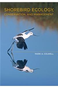 Shorebird Ecology, Conservation, and Management