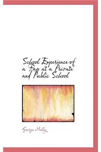 School Experience of a Fag at a Private and Public School