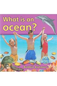 What Is an Ocean?