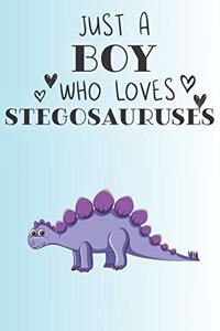 Just A Boy Who Loves Stegosauruses