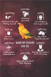 Sun Conure Notebook Journal