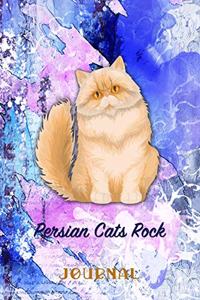 Persian Cats Rock