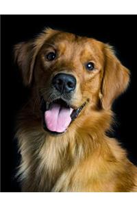 Golden Retriever Notebook