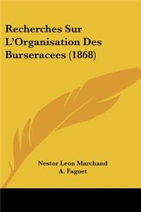 Recherches Sur L'Organisation Des Burseracees (1868)