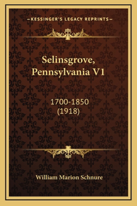 Selinsgrove, Pennsylvania V1