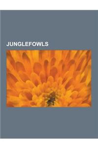 Junglefowls: Chicken Breeds, List of Chicken Breeds, Red Junglefowl, Barnevelder, Sebright, Silkie, Grey Junglefowl, Asil, Araucana