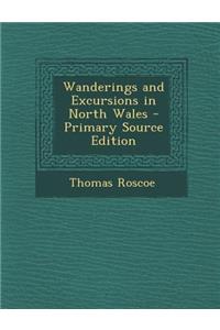 Wanderings and Excursions in North Wales