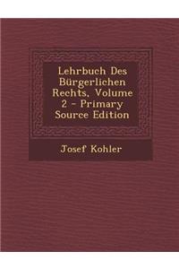 Lehrbuch Des Burgerlichen Rechts, Volume 2 - Primary Source Edition