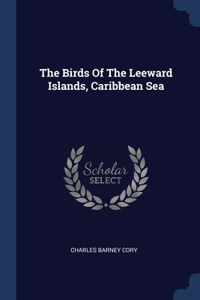 Birds Of The Leeward Islands, Caribbean Sea