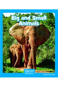 Big and Small Animals