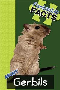 Fantastic Facts about Gerbils: Illustrated Fun Learning for Kids