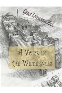 A Voice in the Wilderness