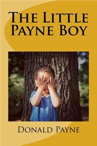 Little Payne Boy: Over 100 short stories about a child growing up in Oberlin, Ohio.