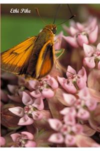 Ethi Pike - Pink Green Butterfly Notebook (Large Version) / Extended Lines