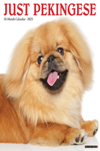 Pekingese 2026 12 X 12 Wall Calendar