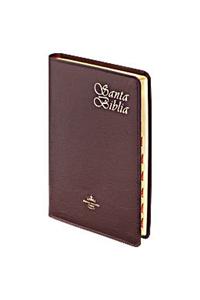 Santa Biblia-Rvr 1960