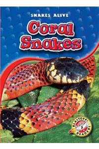 Coral Snakes