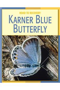 Karner Blue Butterfly