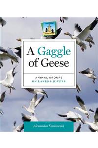 Gaggle of Geese: Animal Groups on Lakes & Rivers