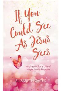 If You Could See as Jesus Sees