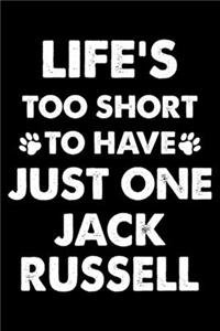 Life's Too Short To Have Just One Jack Russell
