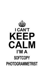 I Can't Keep Calm I'm A Softcopy Photogrammetrist