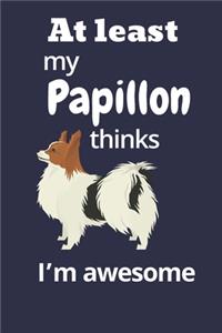 At least My Papillon thinks I'm awesome