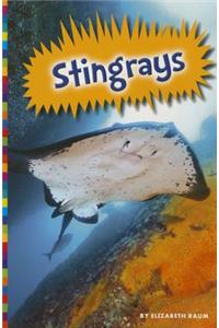 Stingrays
