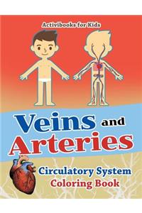Veins and Arteries