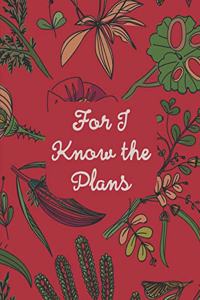 For I Know The Plans