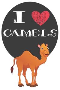 I Heart Camels