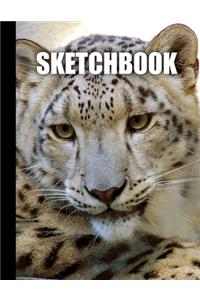 Sketchbook