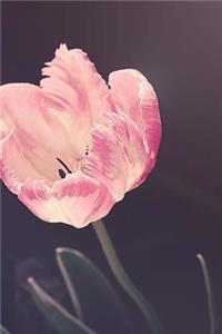 Tulips Notebook