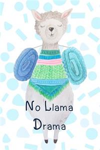 No Llama Drama Notebook for School Llama Lovers Gifts