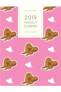 2019 Weekly Planner Twenty Nineteen