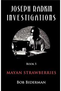 Joseph Radkin Investigations - Book 5