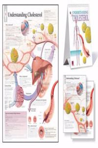 Understanding Cholesterol Study Set