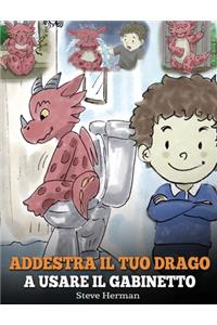 Addestra il tuo drago a usare il gabinetto