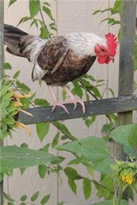 Bantam Rooster on a Wooden Fence Country Life Journal