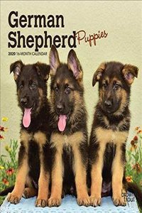 GERMAN SHEPHERD PUPPIES 2020 MINI WALL C