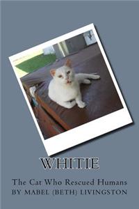 Whitie -- The Cat Who Rescued Humans