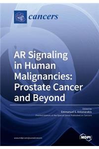 AR Signaling in Human Malignancies