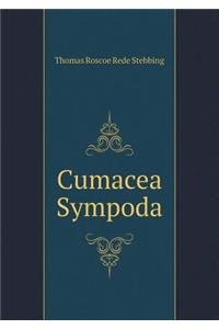 Cumacea Sympoda