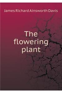 The Flowering Plant